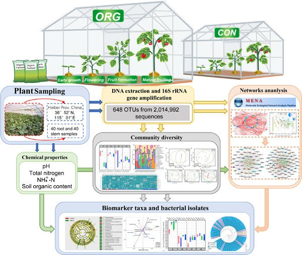 iMetaScience's tweet photo. Tomato microbiome under long‐term organic and conventional farming 
#microbiome #network #farming #organic #rhizosphere
@wileymicrobio @wileyinresearch 
https://t.co/Dd9xOrj5UF https://t.co/5HdM3jaYxc