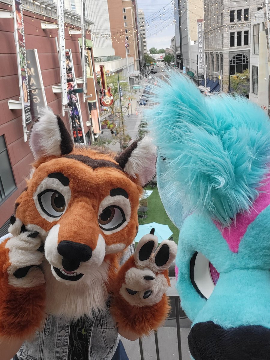 CrinkleCheetah's tweet photo. Went and explored a lil around Denver! Denfur was a good time, thanks everyone that hung with me! https://t.co/S7HCrCrtaF