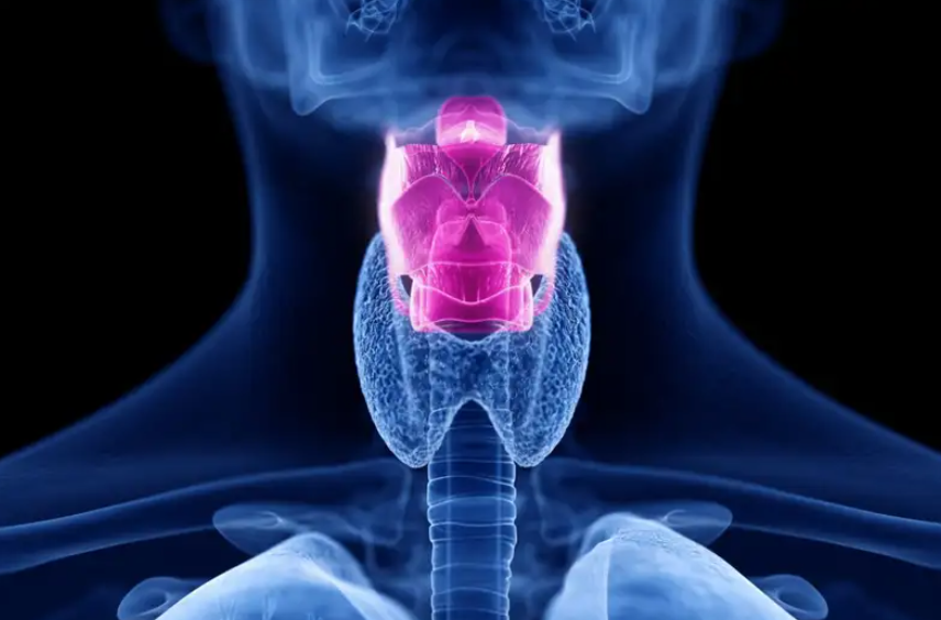 Evoluția capacității oamenilor de a vorbi!

tehnostiri.ro/index.php/2022…