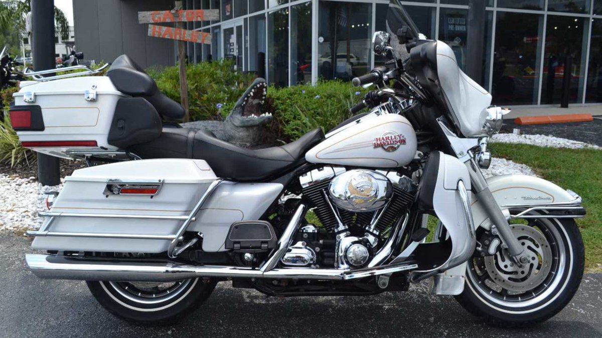 chopperexchange's tweet photo. Another beauty ready to go! 2007 Ultra Classic® Electra Glide®! Who wants it?

#ChopperExchange #HarleyDavidson #ElectraGlideUltraClassic #HarleyLife #TwoWheels #BikerLife #OpenRoad #ThrottleNation #WindTherapy https://t.co/VR056naHip