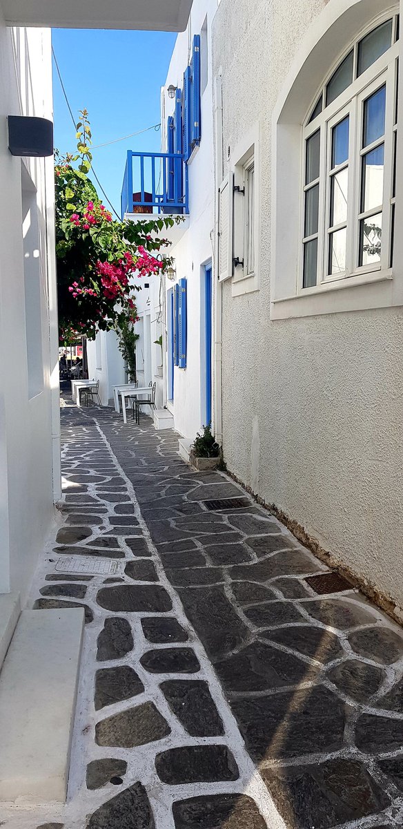 TeresaIacopo's tweet photo. Scorci...
#fotomia #noussa #paros #Greece https://t.co/7FYkSBOiMS