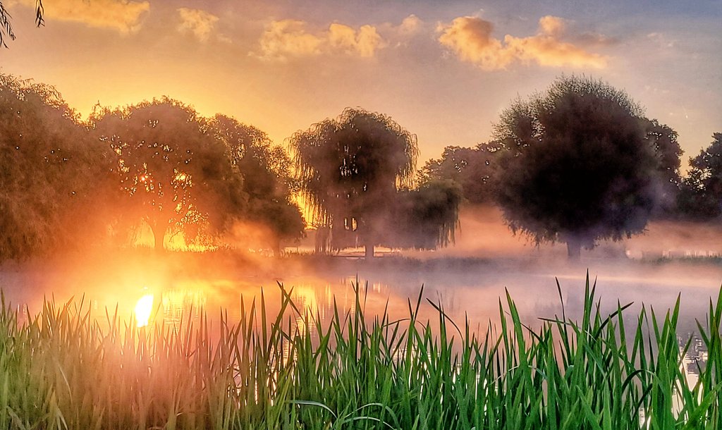 Mindy70161169's tweet photo. "Monday the beginning of one beautiful week." Some misty beautiful sunrise moment's to brighten your day.
"Have a good day." #bushypark #loveukweather #CapturingInspiration @theroyalparks @BBCWthrWatchers @itvlondon @SallyWeather @Piethagoram @Visit_Richmond1 @BBCCountryfile https://t.co/jdXFQq5QEN