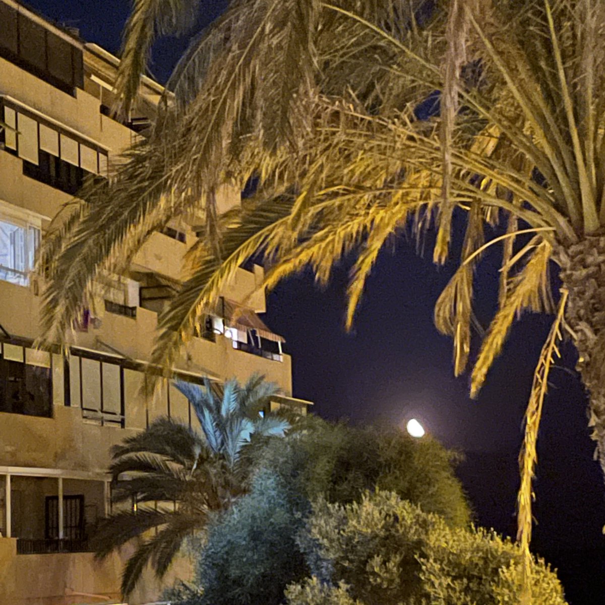 DrJoScience's tweet photo. #DrJo on tour, holiday highlights 6/n
#ScienceIsEverywhere #ClassificationAndGrouping #IdentifyingAndClassifying #Plants #Minibeasts #Light #Shadows #PhasesOfTheMoon #Sun #Moon #Orbit #Space #NightAndDay #4for44 https://t.co/ix0fYjKWNj