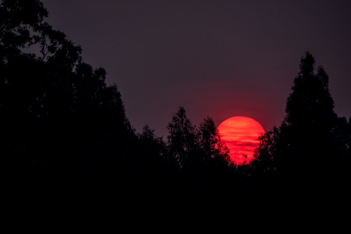 MilemanMedia's tweet photo. Is there anything that can beat an African sunset for breathtaking beauty?

📸 @MilemanMedia #MilemanMedia Shot with Nikon D750 and Tamron 150-600 G2

#landscapes #landscapephotography #Africa #Africansunset #sunsets #sunsetphotography #naturephoto #Nikon #D750 https://t.co/BD0EIt64iz