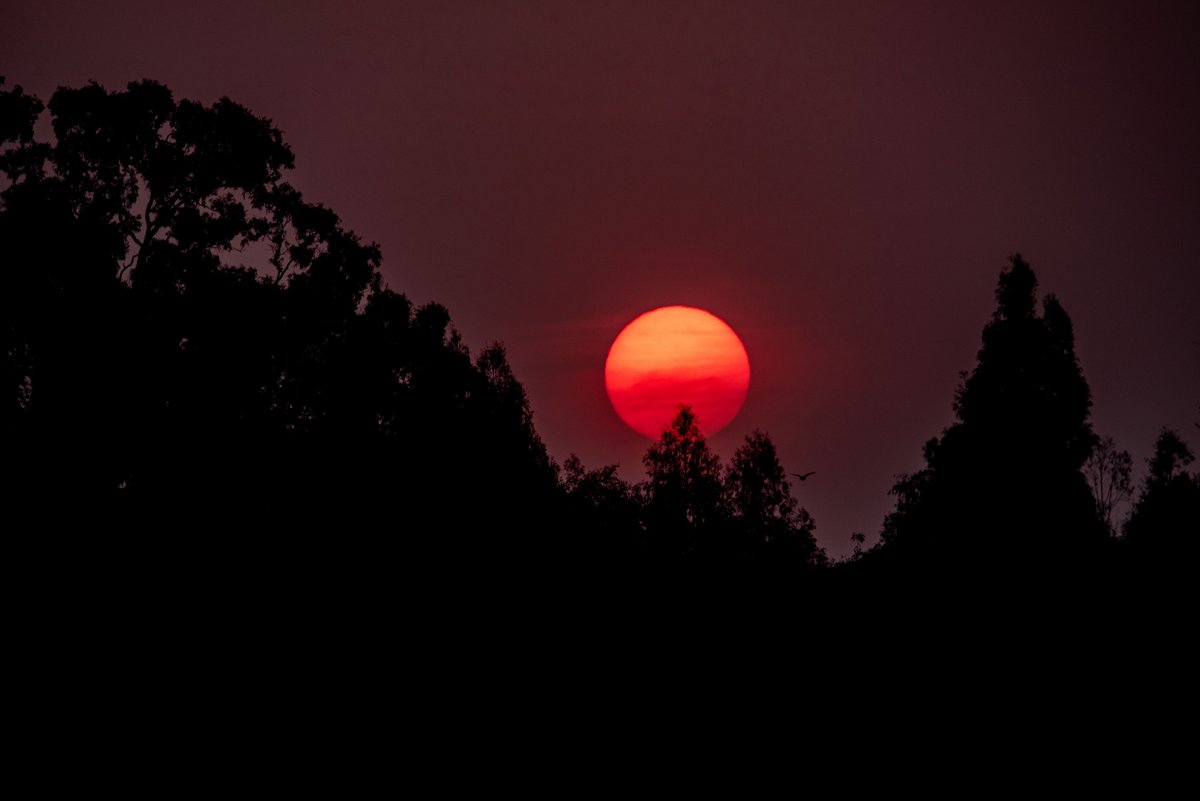 MilemanMedia's tweet photo. Is there anything that can beat an African sunset for breathtaking beauty?

📸 @MilemanMedia #MilemanMedia Shot with Nikon D750 and Tamron 150-600 G2

#landscapes #landscapephotography #Africa #Africansunset #sunsets #sunsetphotography #naturephoto #Nikon #D750 https://t.co/BD0EIt64iz