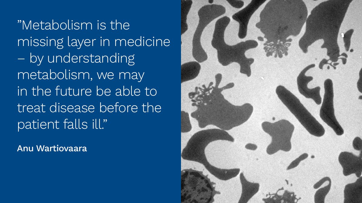 Sigrid Jusélius Stiftelse (@sigridjuselius) on Twitter photo Can diseases be prevented based on metabolism? We asked top researchers how medicine will be revolutionized in the 2020s.
Read <a href="/AWartiovaara/">Anu Suomalainen Wartiovaara</a> 's thoughts in the second part of the series: sigridjuselius.fi/en/news/a-deca…
#medicine #future #sigridjuseliusfoundation Can diseases be prevented based on metabolism? We asked top researchers how medicine will be revolutionized in the 2020s.
Read <a href="/AWartiovaara/">Anu Suomalainen Wartiovaara</a> 's thoughts in the second part of the series: sigridjuselius.fi/en/news/a-deca…
#medicine #future #sigridjuseliusfoundation