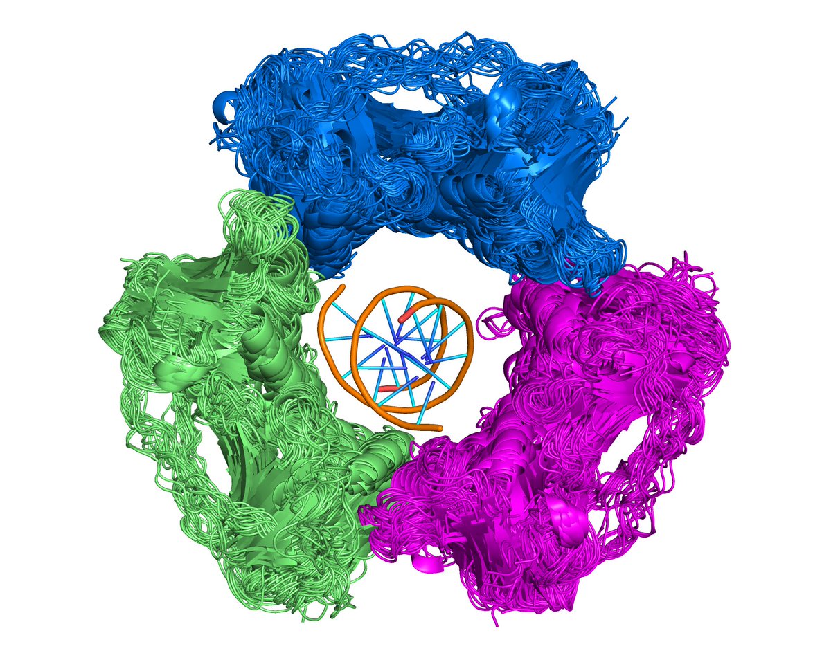 Roland Dunbrack 🏳️🌈 @rolanddunbrack.bsky.social (@rolanddunbrack) on Twitter photo Examples from our Protein Common Assembly Db now on <a href="/biorxiv_bioinfo/">bioRxiv Bioinfo</a> with <a href="/QifangXu/">Qifang</a>. Viable assemblies for all Xray structures (EPPIC, <a href="/josemduarte/">Jose Manuel Duarte</a>), clustered w/ cryoEM, NMR assemblies by Pfam architectures + stoichiometry+ symmetry + interfaces. <a href="/buildmodels/">rcsb pdb 💉🧬💻🔬💊🌱🧠🦠</a> <a href="/PDBeurope/">Protein Data Bank</a> <a href="/pdbj_en/">PDBj_en</a> Examples from our Protein Common Assembly Db now on <a href="/biorxiv_bioinfo/">bioRxiv Bioinfo</a> with <a href="/QifangXu/">Qifang</a>. Viable assemblies for all Xray structures (EPPIC, <a href="/josemduarte/">Jose Manuel Duarte</a>), clustered w/ cryoEM, NMR assemblies by Pfam architectures + stoichiometry+ symmetry + interfaces. <a href="/buildmodels/">rcsb pdb 💉🧬💻🔬💊🌱🧠🦠</a> <a href="/PDBeurope/">Protein Data Bank</a> <a href="/pdbj_en/">PDBj_en</a>