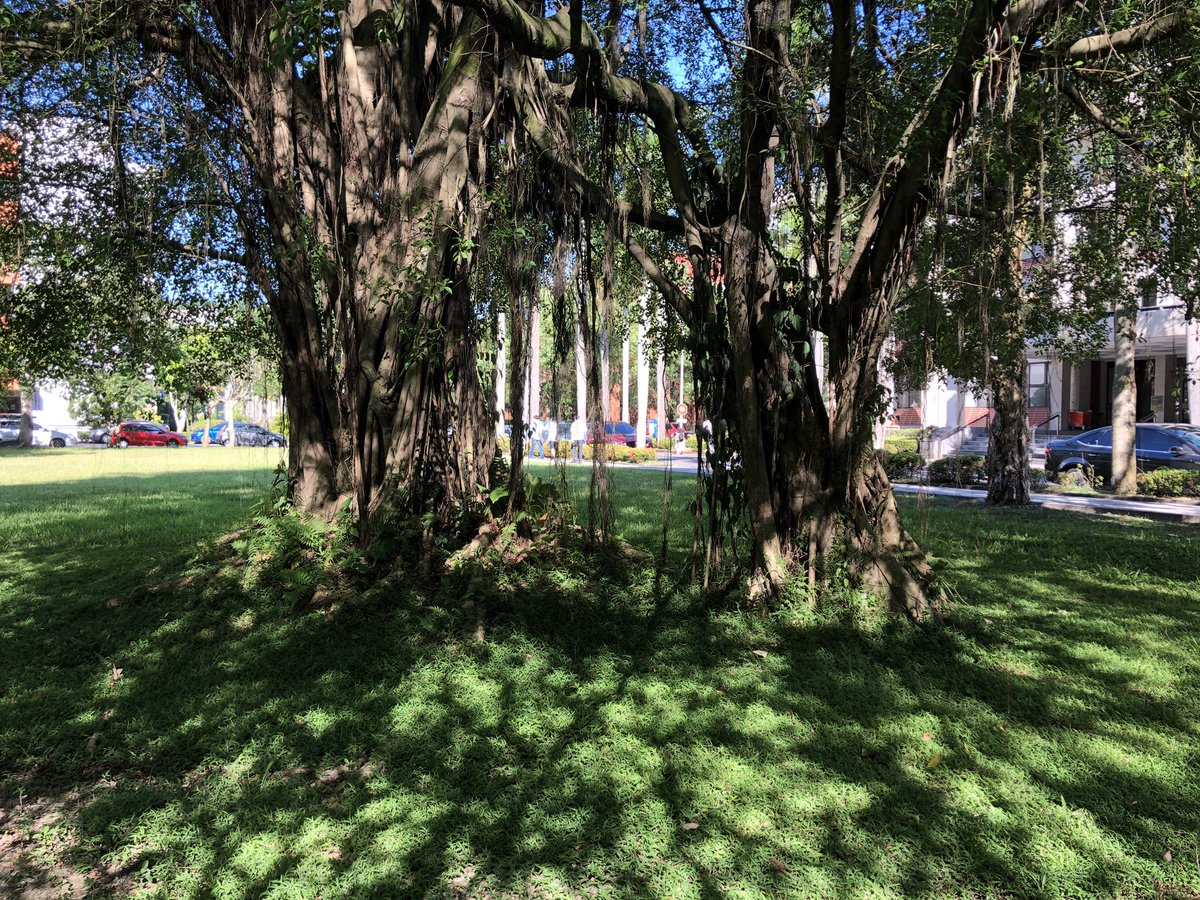 Love these adorable light and shadow.