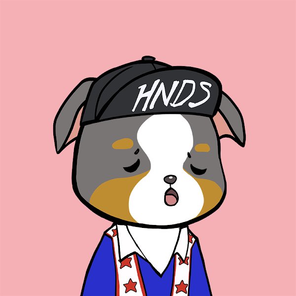 FoxyFam 🦊 tweet media
