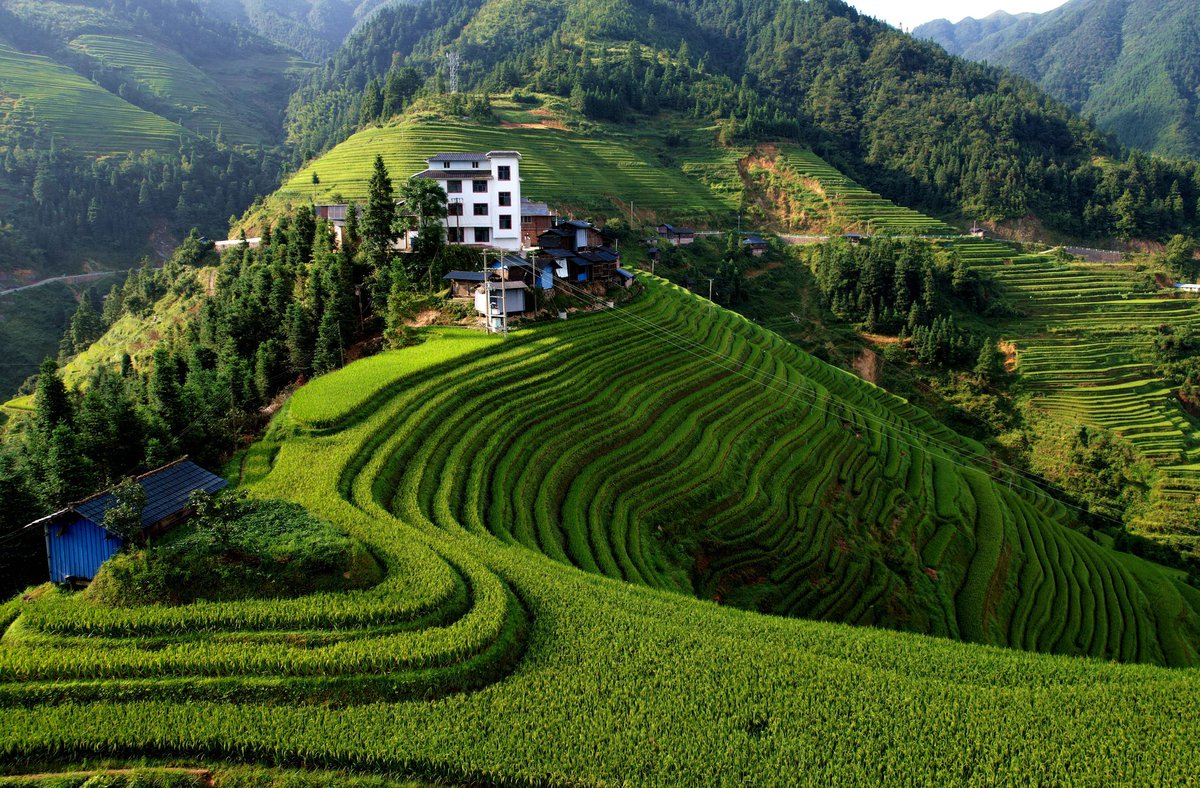 libijian2's tweet photo. The #terraced fields in Jiamian Township, Congjiang County, southwest #China’s #Guizhou Province. #AmazingChina https://t.co/eS4vhMcSOW