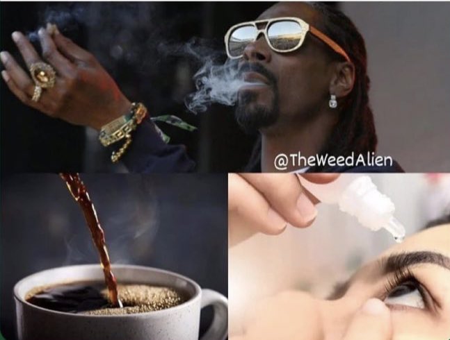 CashCropNFT's tweet photo. How stoners get ready for work 🤣🍁

#420community #NFT #NFTGiveaway #weedsmokers https://t.co/IHzCXwSYBo