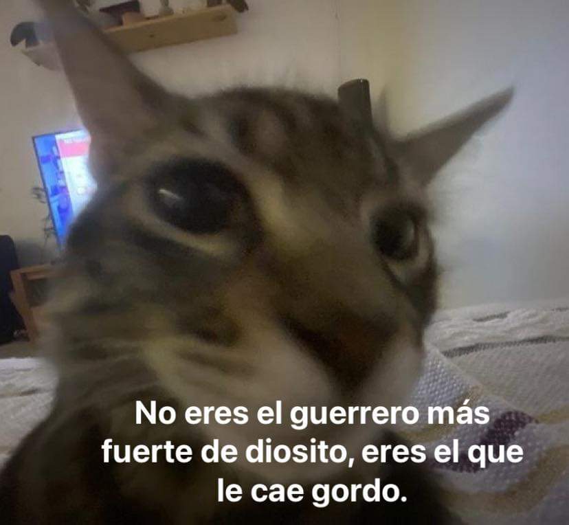 Ahora caigo en cuenta...