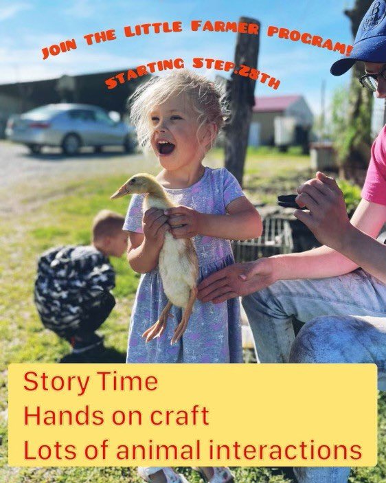bentonfarms's tweet photo. Little Farmer 👩‍🌾 12 weeks of hands on learning! Inside ac/heated gathering and trips to the bigger barn animals! Text Farmer Missy for details on story time, craft, furry friend visit Wednesday at 10 am to 11am!! Book for 12 weeks starting Sept 14 to Dec 14 on Eventbrite https://t.co/2S3KnPHJBq