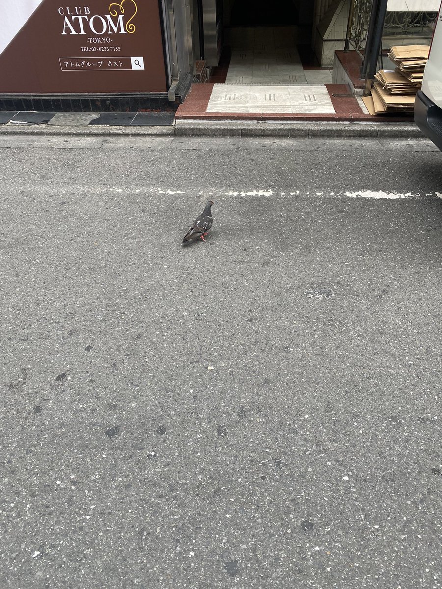 hachi_316_'s tweet photo. あやとくん今日もお疲れ様 https://t.co/hq7A3XPHsd