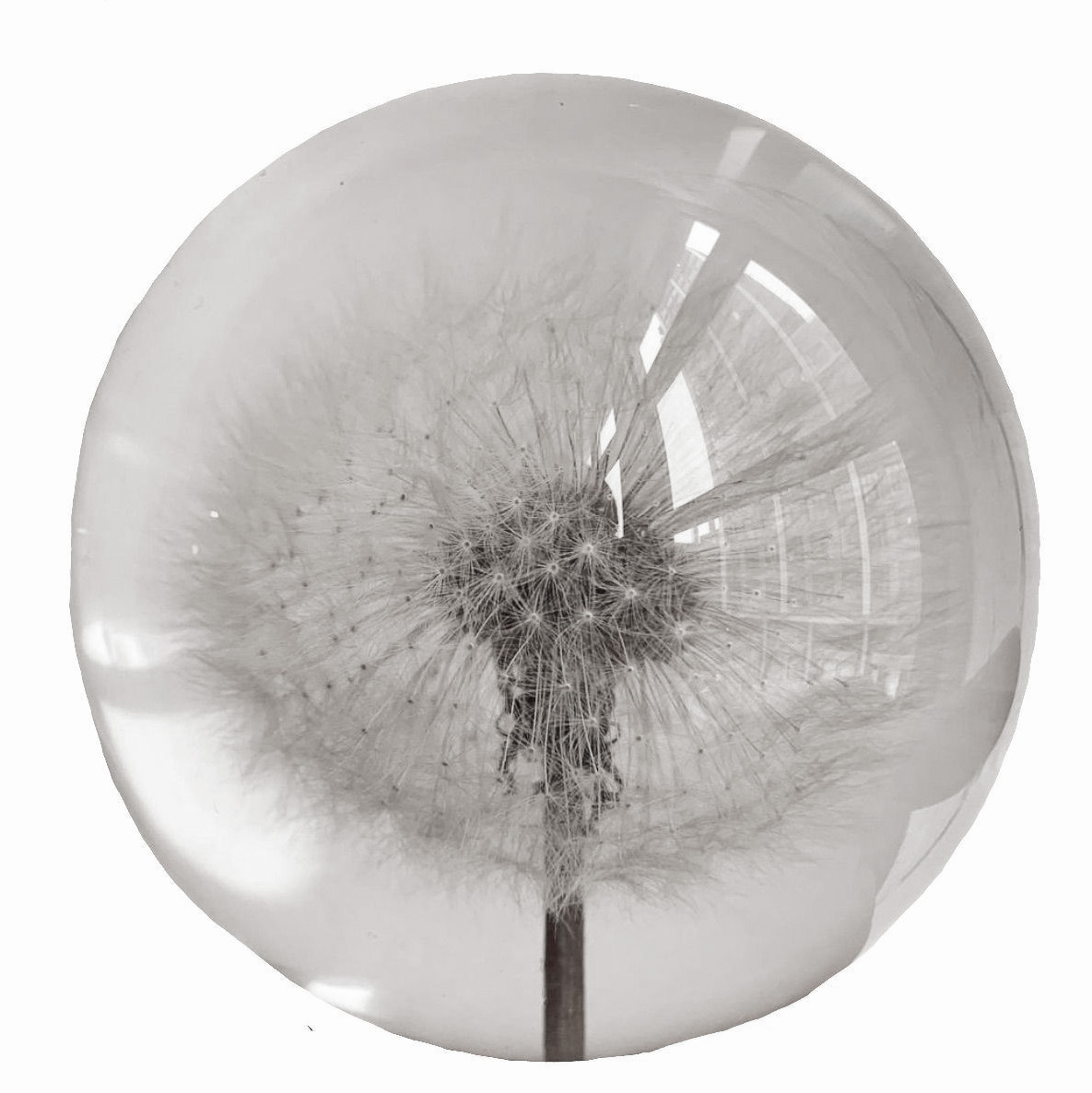 The human heart has hidden treasures,
In secret kept, in silence sealed;
The thoughts, the hopes, the dreams, the pleasures,
Whose charms were broken if revealed.