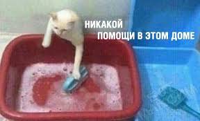 drozdsofa's tweet photo. все фд: ура нам дали имя
фд героев, придумывающие имя сами: https://t.co/dTBhBQt2s4