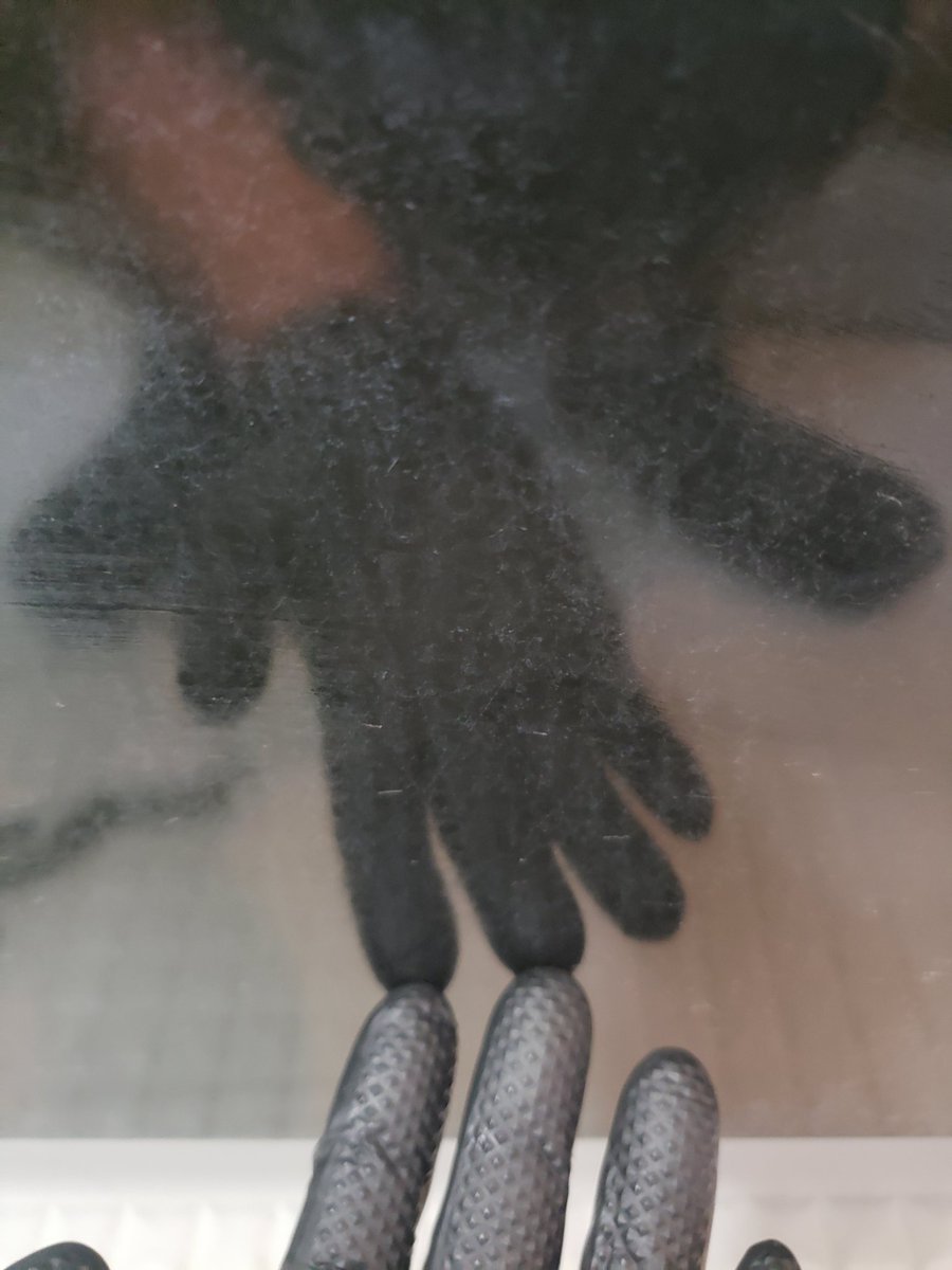 clean_toukai's tweet photo. 水浴び？お風呂掃除、黒🖤 https://t.co/dWEfVSthRW