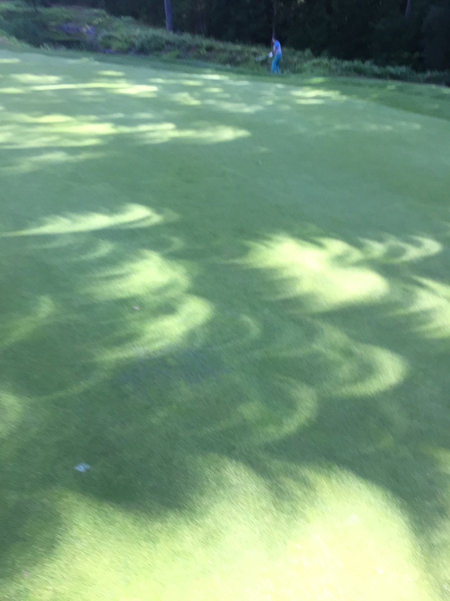 Robert Yates tweet media