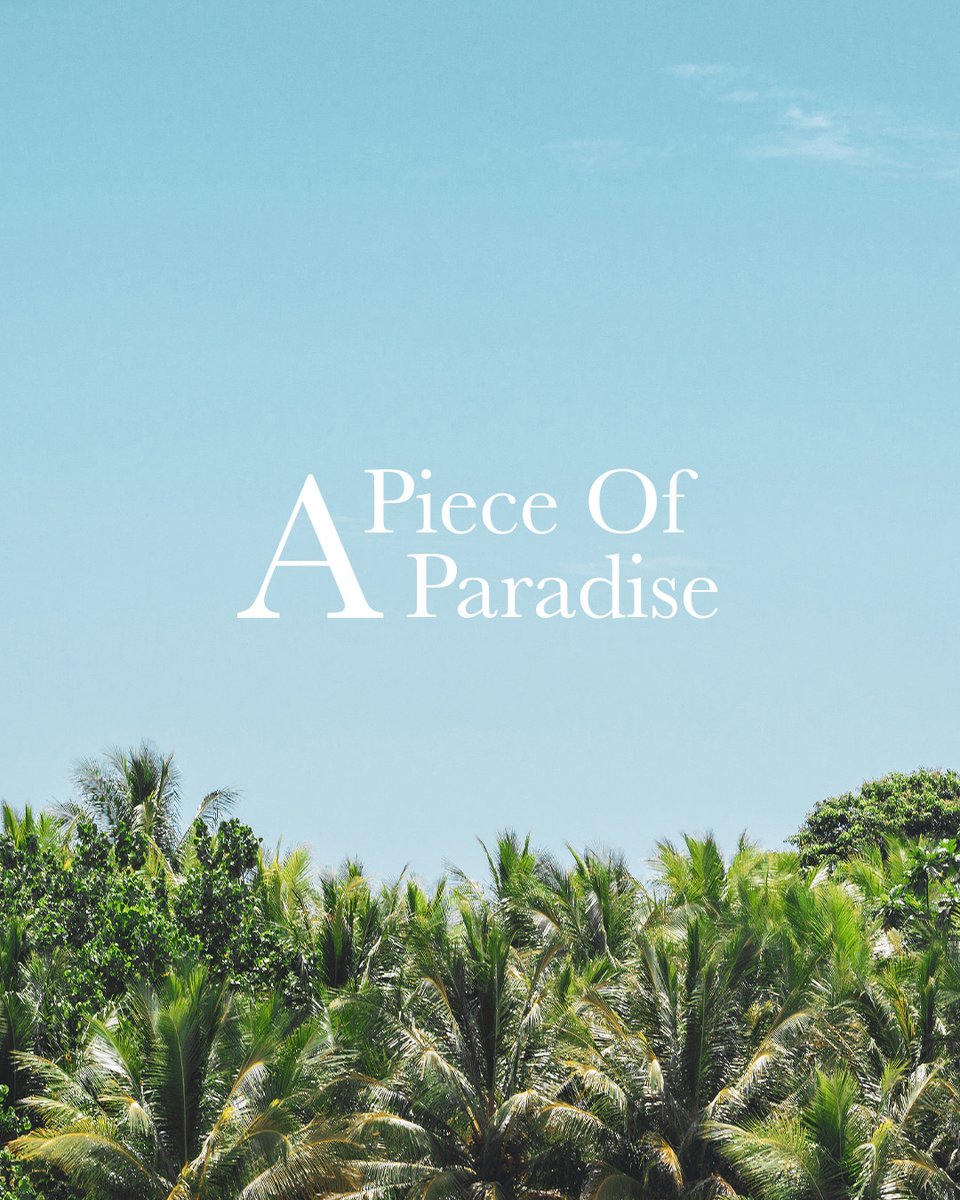 ginomoa's tweet photo. I'm releasing a small 1/1 #photography NFTs series on @exchgART 

These photos were taken during my travel to some of the most remote and beautiful islands in Indonesia in the last few years.

The series is call 'A Piece of Paradise'

a thread 🧵 https://t.co/JYtsZqbw9r