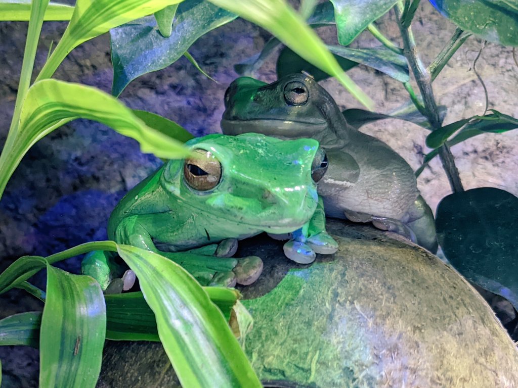 寄り添う🥰