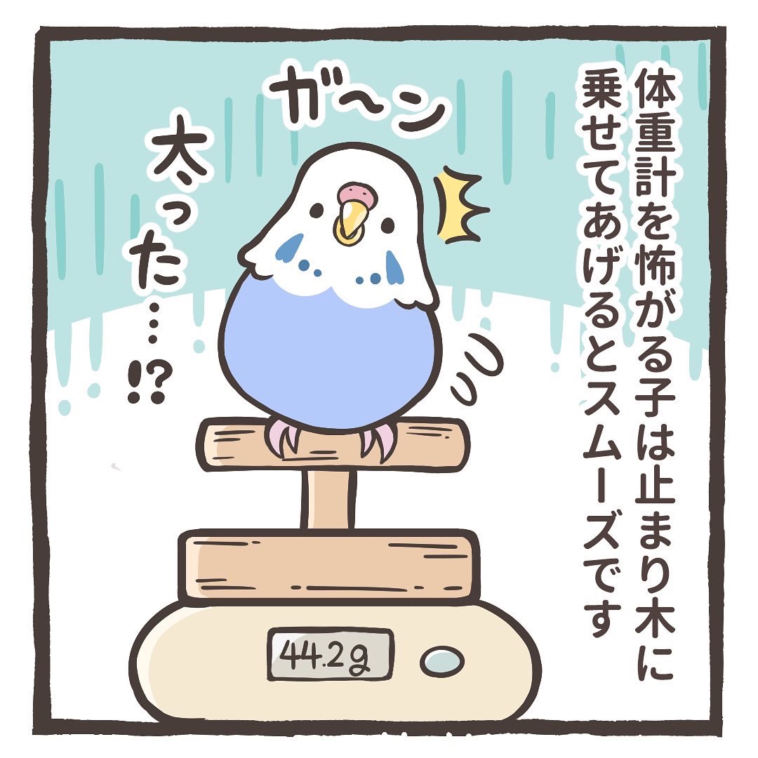 トリ扱い説明書をインスタにアップしました〜🌸

ここから読めます🦜✨
↓↓
https://t.co/mUi1KASqdP 