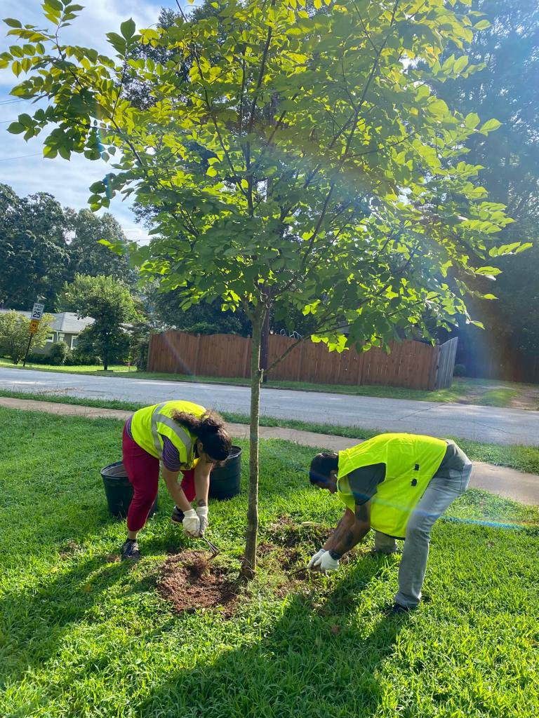 goswami_sm's tweet photo. Proud of our GE Power team for our 2nd Sadhana Samarpan Month event with Trees Atlanta organization #SadhanaSamarpaNMonth  #purpose4life #TCSEmpowers #BuildingonBelief 20Aug2022 https://t.co/C45eK8bykt