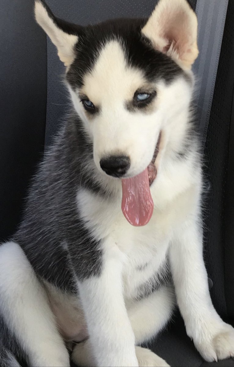 John Durkin tweet media