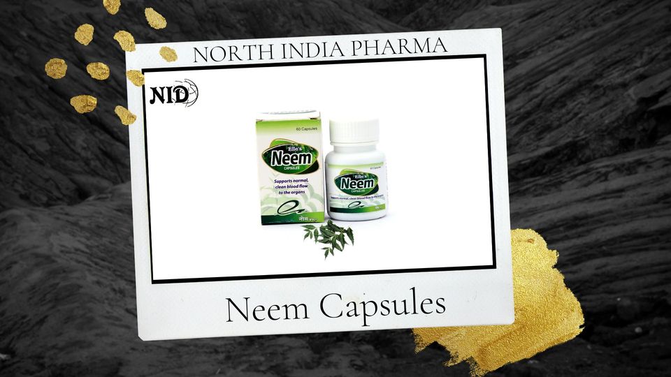 ELLE HERBALS
Neem Capsules
Supports Normal, Clean blood flow of the organ
Visit : nidayurveda.com
Contact +91- 9953959531
#NEEMCAPSULE #CLEANBLOOD #NIDAYURVEDA #HERBAL #AYURVEDIC #HERBALPRODUCT #HERBALMEDICINEMANUFACTURER #MANUFACTURINGMEDICINE #HERBALMEDICINES #AYURVEDIC