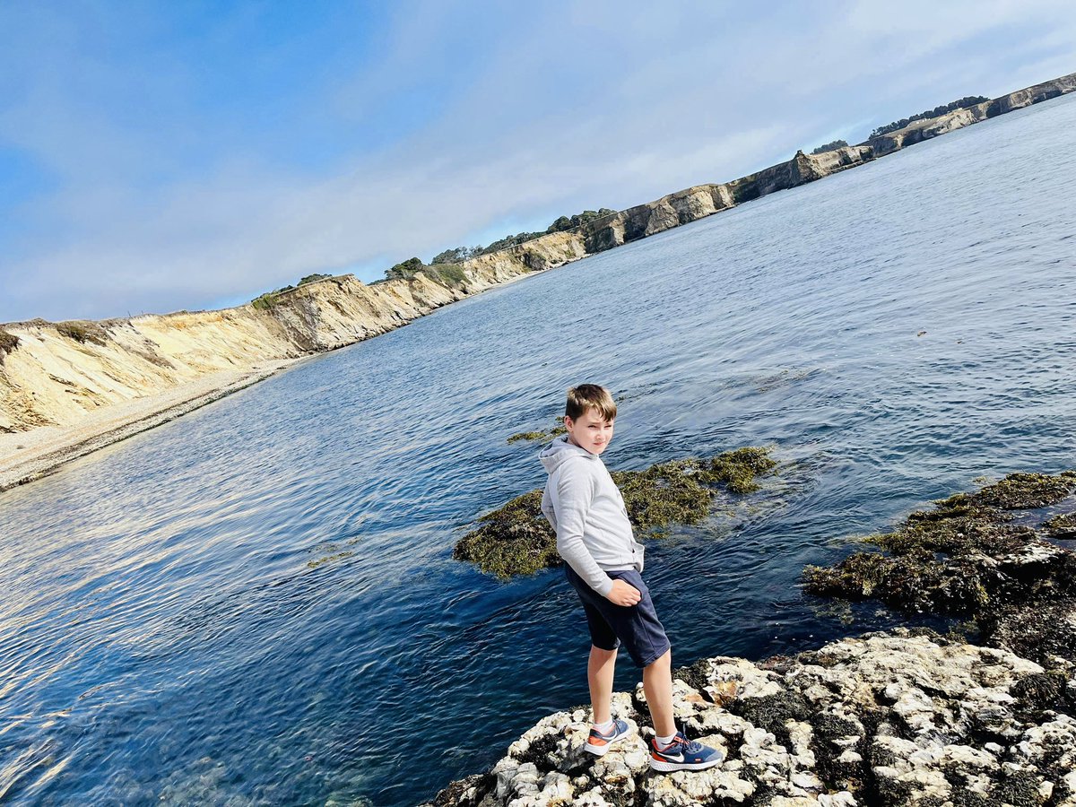 MrsOleary1814's tweet photo. Relaxing in Port Arena with friends spotting the seals 🌊🦭🤍🇺🇸😁#SummerHolidayNumberTwo #SummerTime #Summer2022 #FamilyFunInTheSun #California https://t.co/iicXnxBp5K