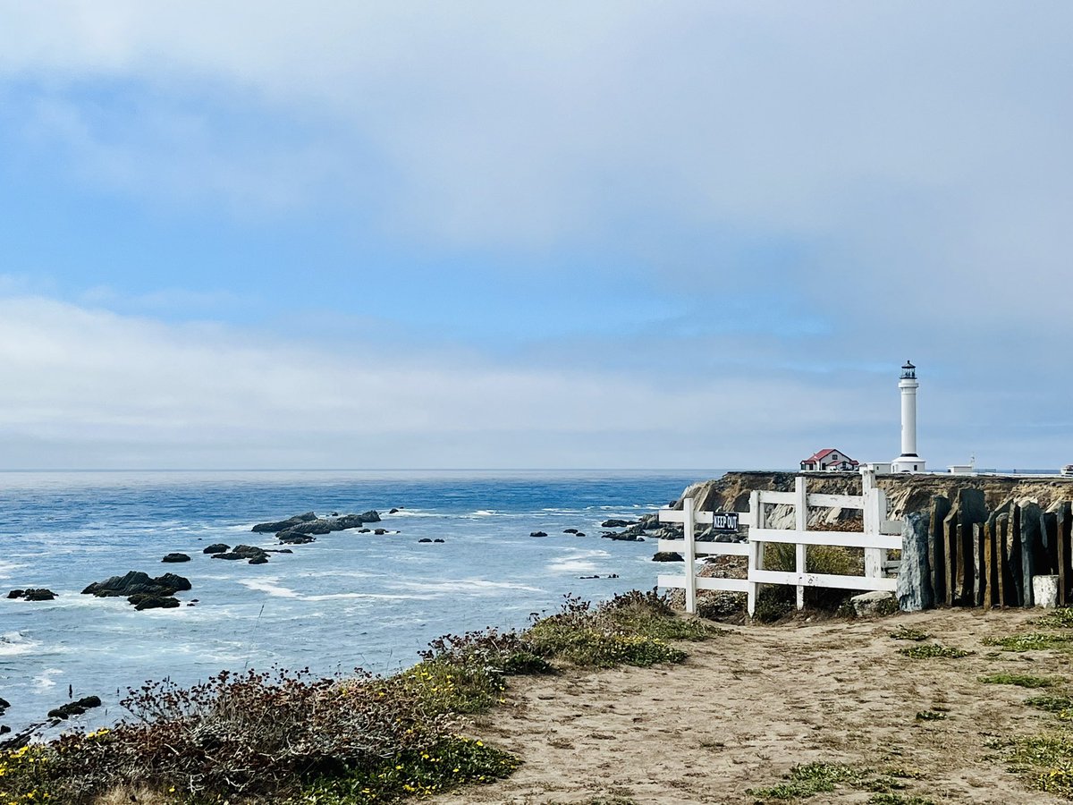 MrsOleary1814's tweet photo. Relaxing in Port Arena with friends spotting the seals 🌊🦭🤍🇺🇸😁#SummerHolidayNumberTwo #SummerTime #Summer2022 #FamilyFunInTheSun #California https://t.co/iicXnxBp5K