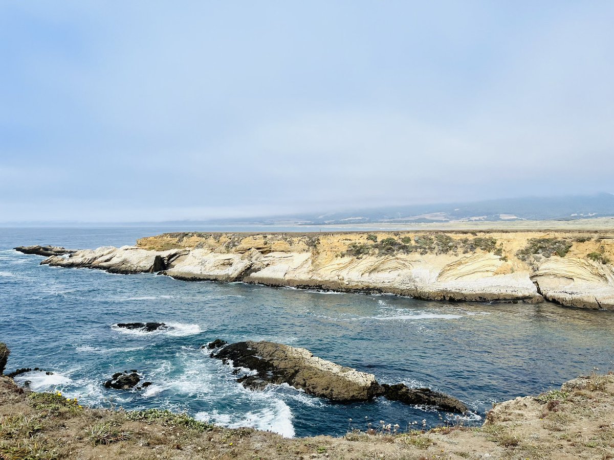 MrsOleary1814's tweet photo. Relaxing in Port Arena with friends spotting the seals 🌊🦭🤍🇺🇸😁#SummerHolidayNumberTwo #SummerTime #Summer2022 #FamilyFunInTheSun #California https://t.co/iicXnxBp5K