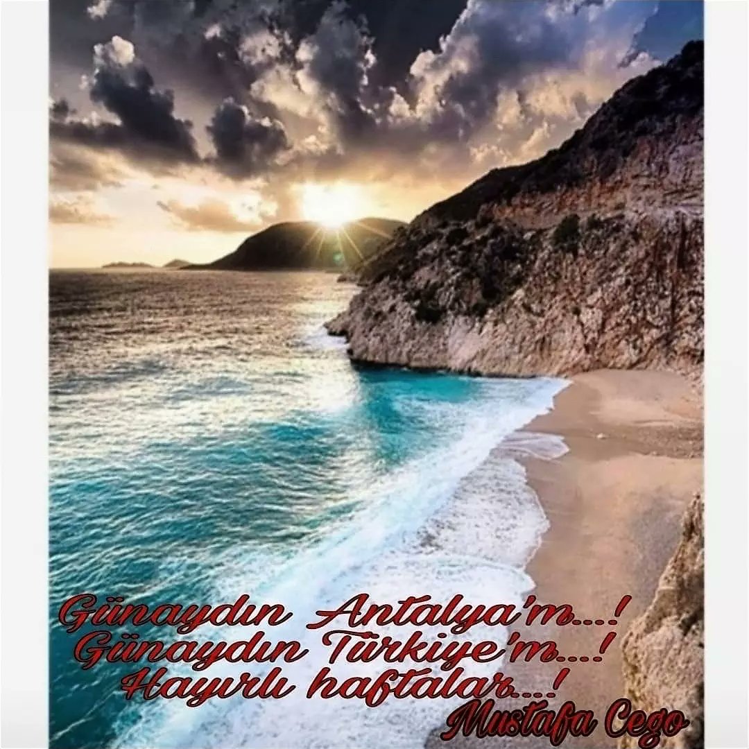 MustafaCego2's tweet image. 