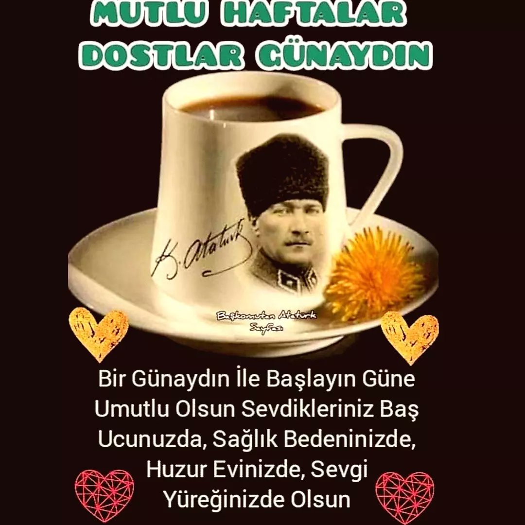 MustafaCego2's tweet image. 