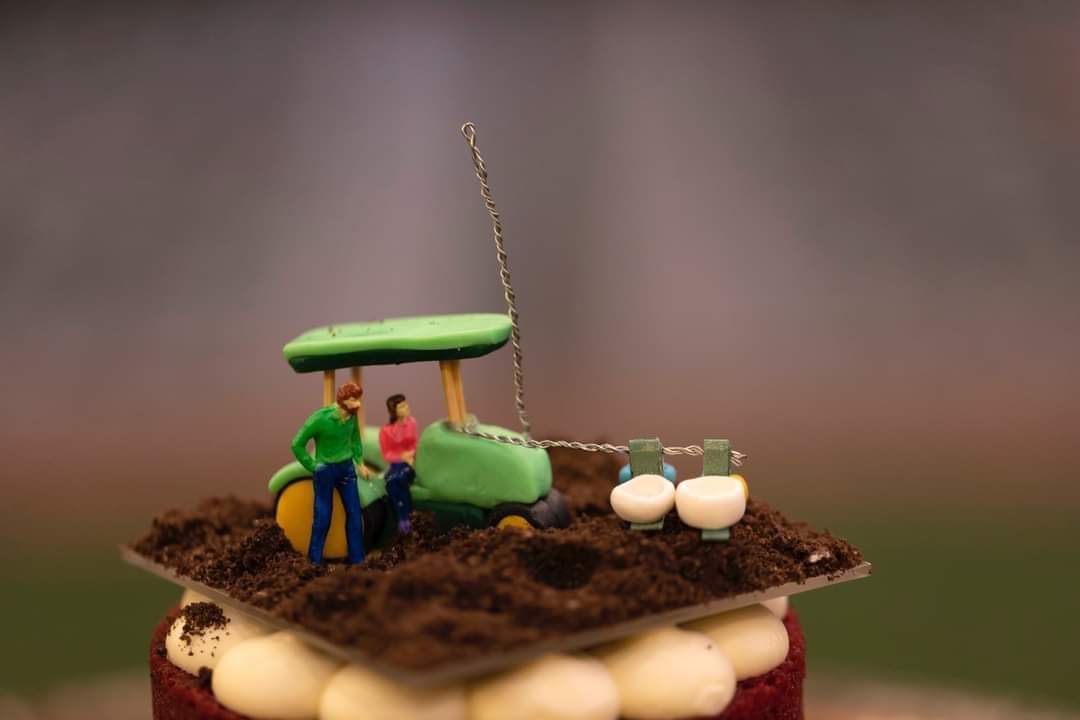 Blake Palmer tweet media