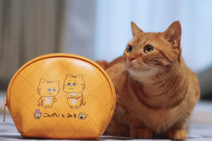 花江 夏樹 S Recent Tweets 1 Whotwi Graphical Twitter Analysis 花江 夏樹 S Recent Tweets 1 Whotwi Graphical Twitter Analysis