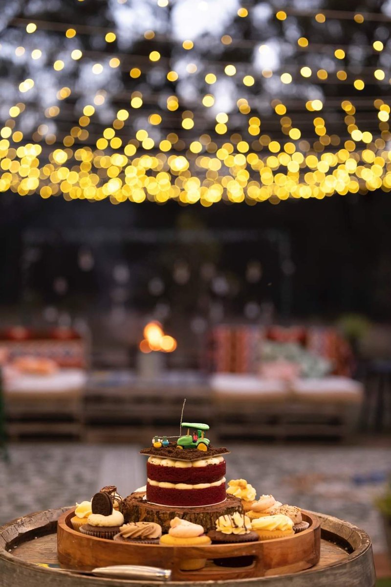 Blake Palmer tweet media