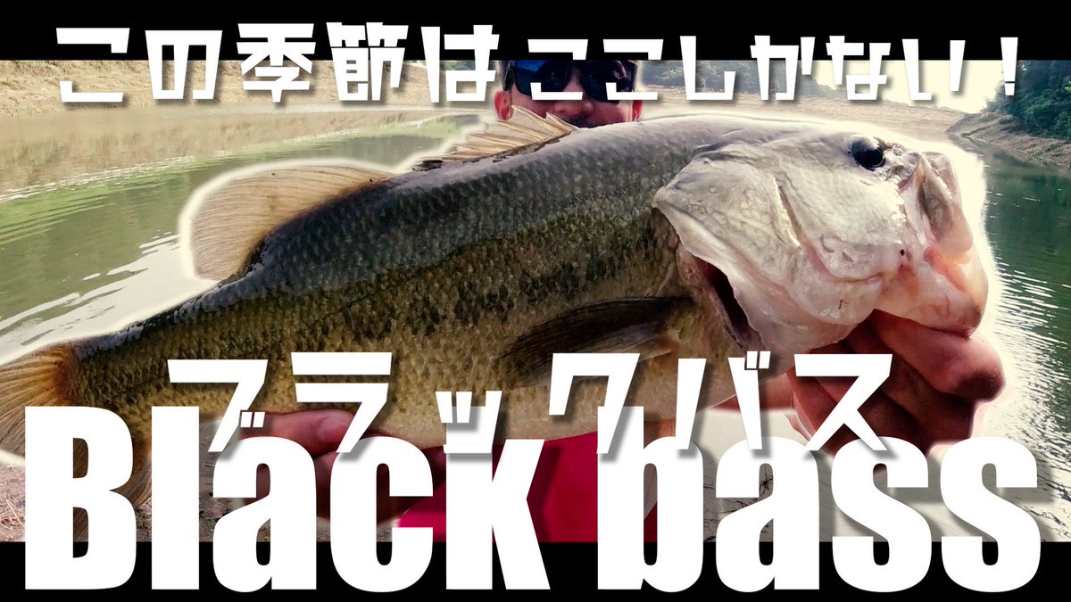 august_8_'s tweet photo. https://t.co/Bb3kkdlEwR
一年ぶりに釣り動画投稿してみた。 https://t.co/eWGqnLbk4S