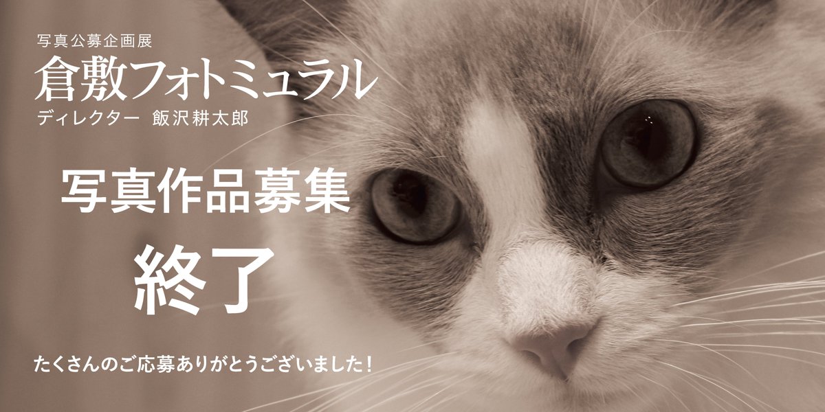 【公式】倉敷フォトミュラル tweet media