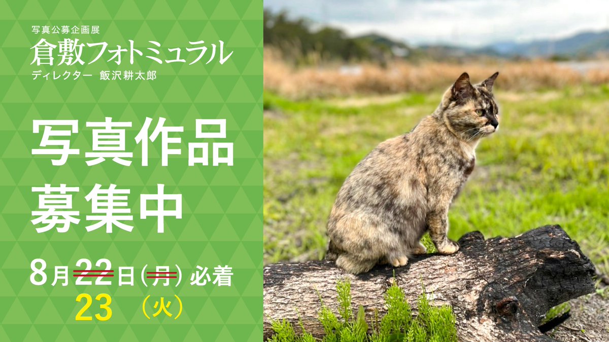 【公式】倉敷フォトミュラル tweet media