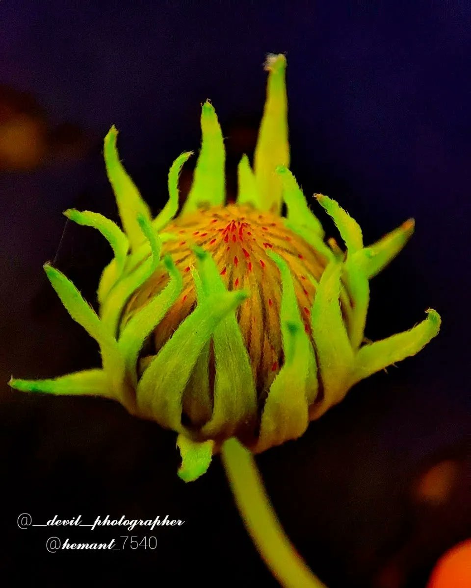 devilphotograph's tweet photo. https://t.co/E7cI2sFbgL
My new post

Please support

Thanks https://t.co/Soj5MDyyij