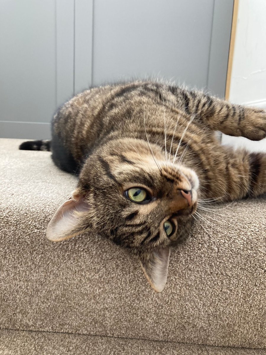 Nurturing by Nature tweet media