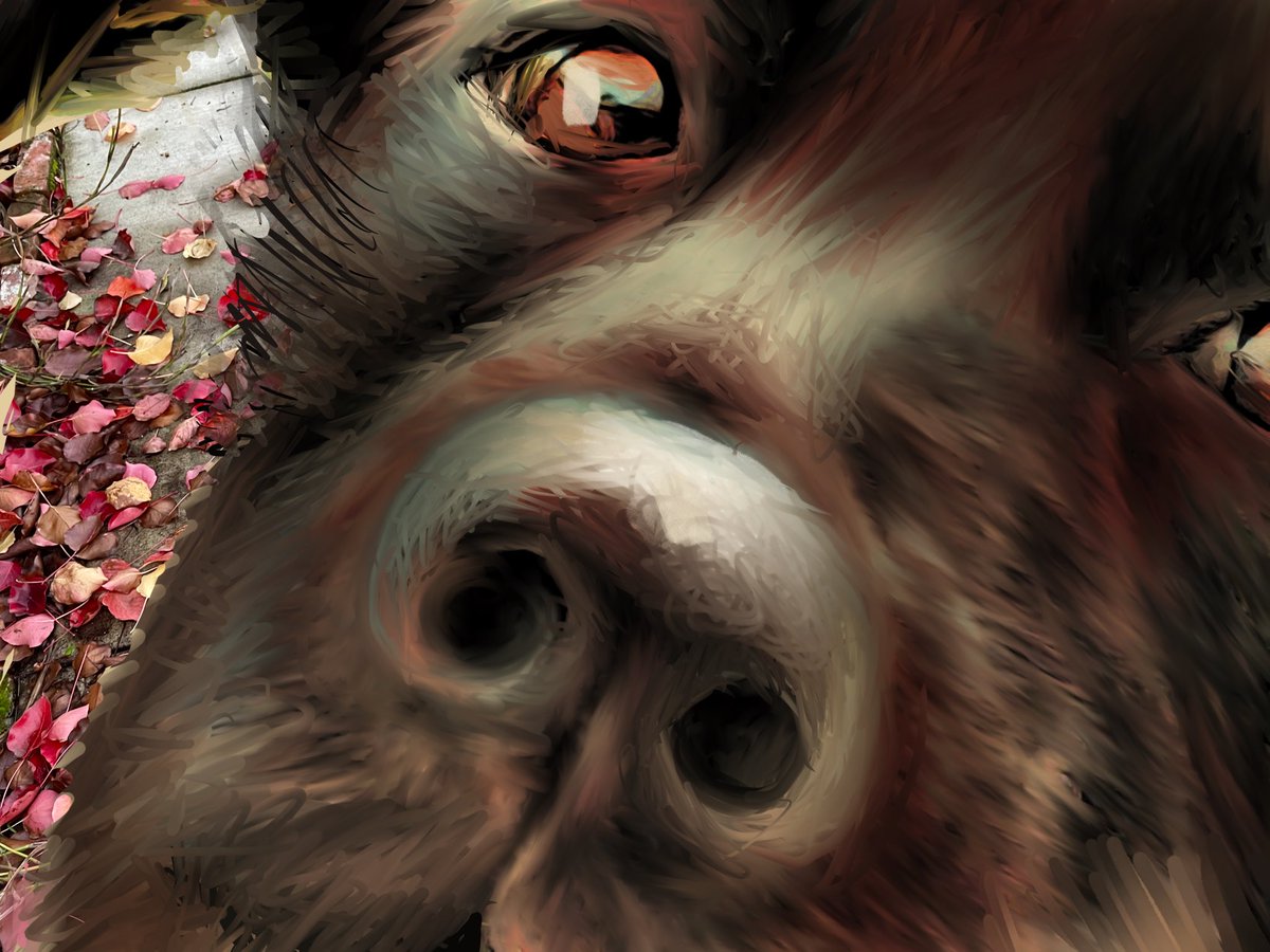 Momma drawed dis picture of me.  She only gots dis part of my face, but I tink if she keep practicing she learn to make a whole face.