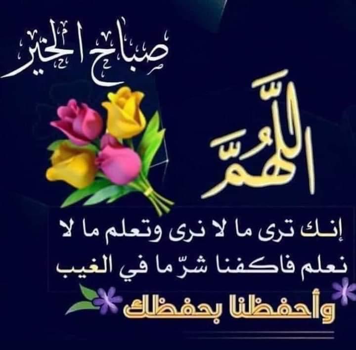 Dahermohammed1's tweet photo. @Albati_sv https://t.co/t36HcT87gw