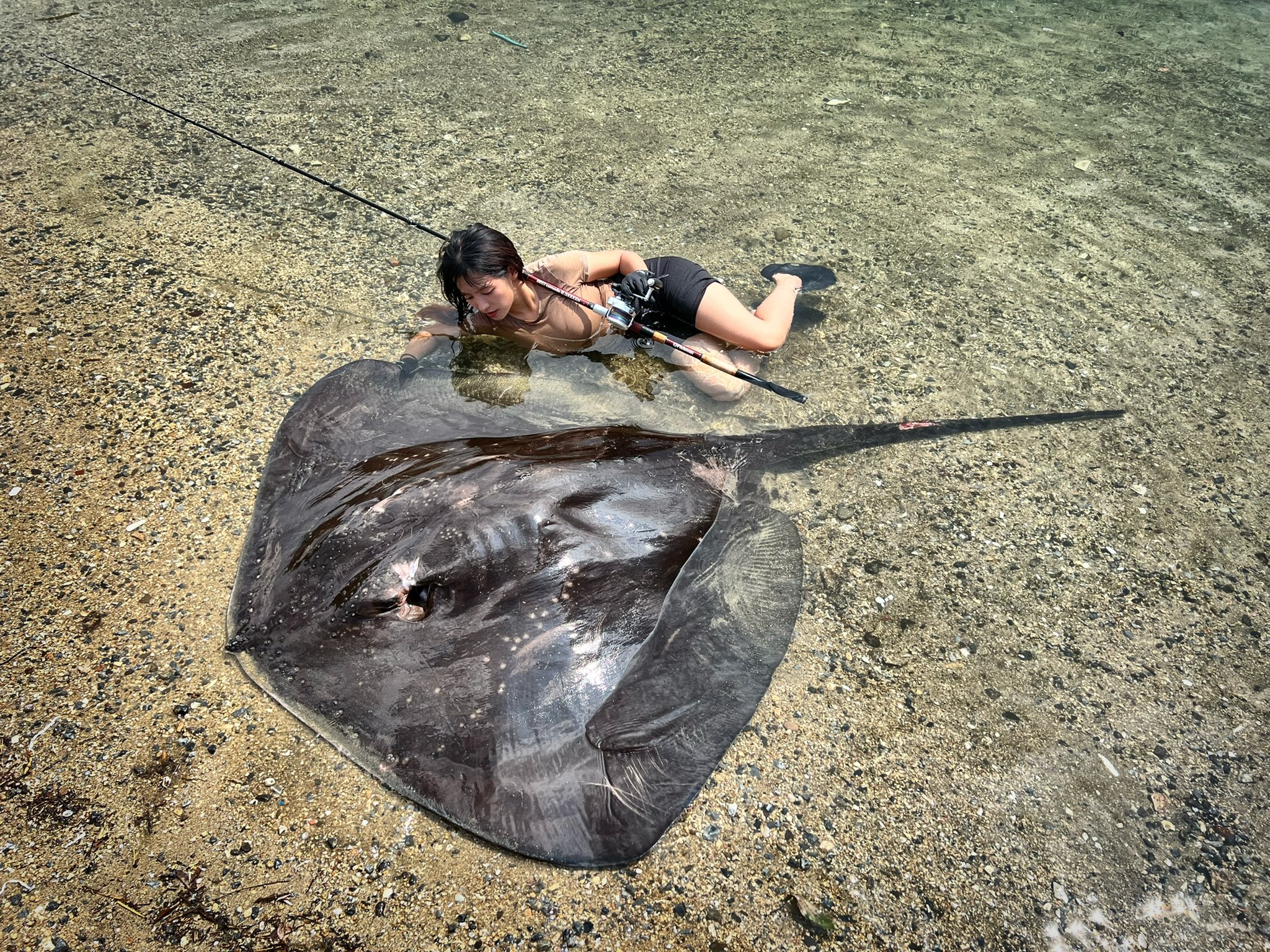 ハヤピート Haya66funky1 Twitter