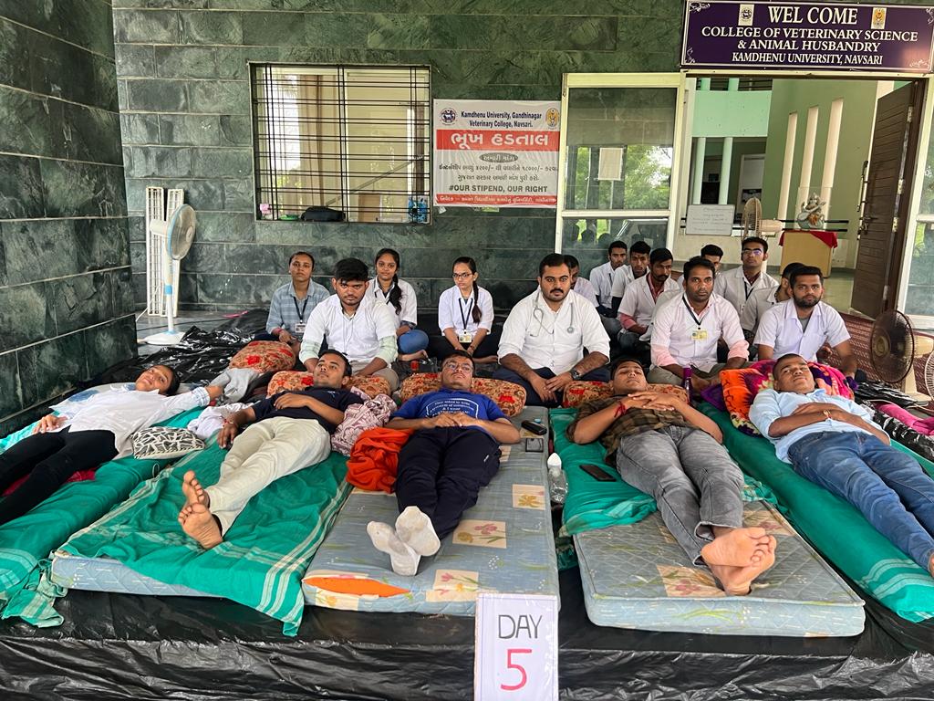 First They Ignore you,
Then they laugh at you,
Then they fight with you,
Then you win.🙌 Keep it up warriors💪
#Hunger_strike_day_5
#increase_guj_vet_stipend 
#guj_vet_union 
<a href="/CMOGuj/">CMO Gujarat</a> <a href="/KanuDesai180/">Kanu Desai</a> <a href="/RaghavjiPatel/">Raghavji Patel</a> <a href="/PRupala/">Parshottam Rupala</a> <a href="/PMOIndia/">PMO India</a> <a href="/CRPaatil/">C R Paatil</a> <a href="/ndtv/">NDTV</a> <a href="/VtvGujarati/">VTV Gujarati News and Beyond</a> <a href="/tv9gujarati/">Tv9 Gujarati</a> <a href="/ANI/">ANI</a>