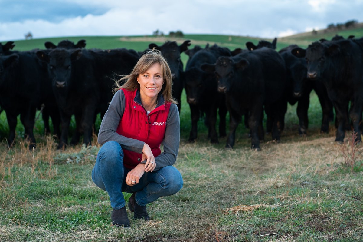 I4Connect's tweet photo. The Entrepreneurs’ Programme Accelerating Commercialisation service is empowering @agscent to create revolutionary breath-sensing technology for cows. 
https://t.co/KvPxXxcS6g
#entrepreneurship #innovation #leadership #acgrant #i4connect #EntrepreneursProgramme #agtech https://t.co/WpwNy2Tx8v