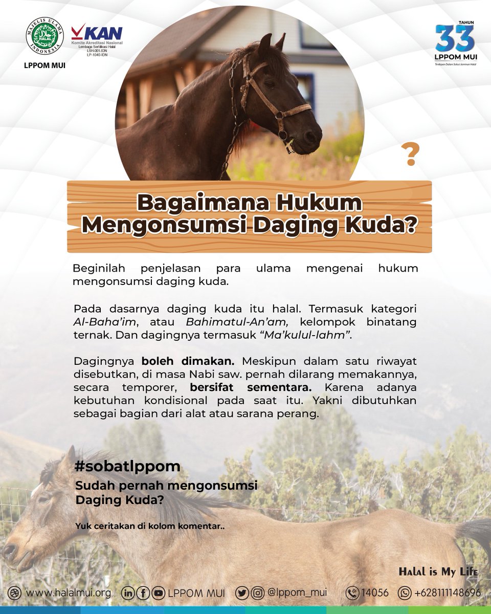 lppom_mui's tweet photo. #sobatlppom, makan daging kuda untuh vitalitas, halalkah? begini penjelasannya, https://t.co/USXoHdTBIU
.
#qahalal #lph #lppommui #konsumsiprodukhalal #fatwamui #halalmui #halalindonesia #mamin #makanan #minuman #halalharam #tausiyah #kuda #obat #vitalitas https://t.co/3TGrl2OgMv