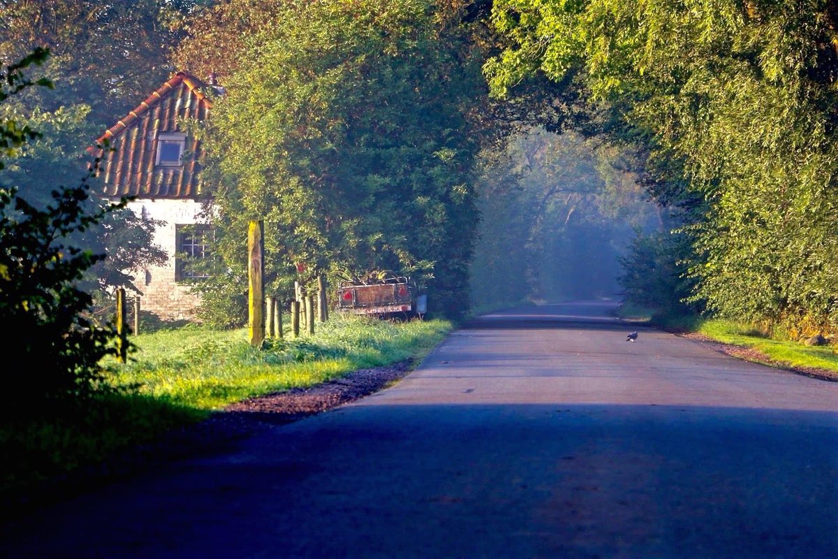Mooigrunnen's tweet photo. De Wolddijk loopt van Noorderhoogebrug in noordelijke richting naar Westerdijkshorn. Het is een prachtige weg door het Groninger Landschap. Aan weerszijde van de weg staan boerderijen en een aantal huizen.
#mooigrunnen #wolddijk #bedum #daspasgrunnen https://t.co/iB3tM97rDt