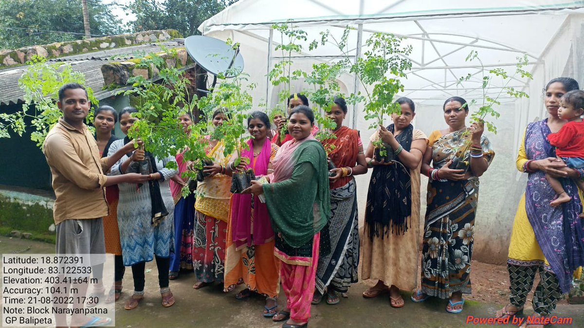 CYSDOdisha's tweet image. To reduce  malnutrition among women, children &amp;amp; adolescents  in #Koraput, emphasis is on #backyardkitchen garden promotion. To this effect, Drumstick &amp;amp; Papaya saplings supplied to 5 SHG members in Balipatta GP of #Narayanpatna block. 
Support by #OLM
Facilitated by #CYSD