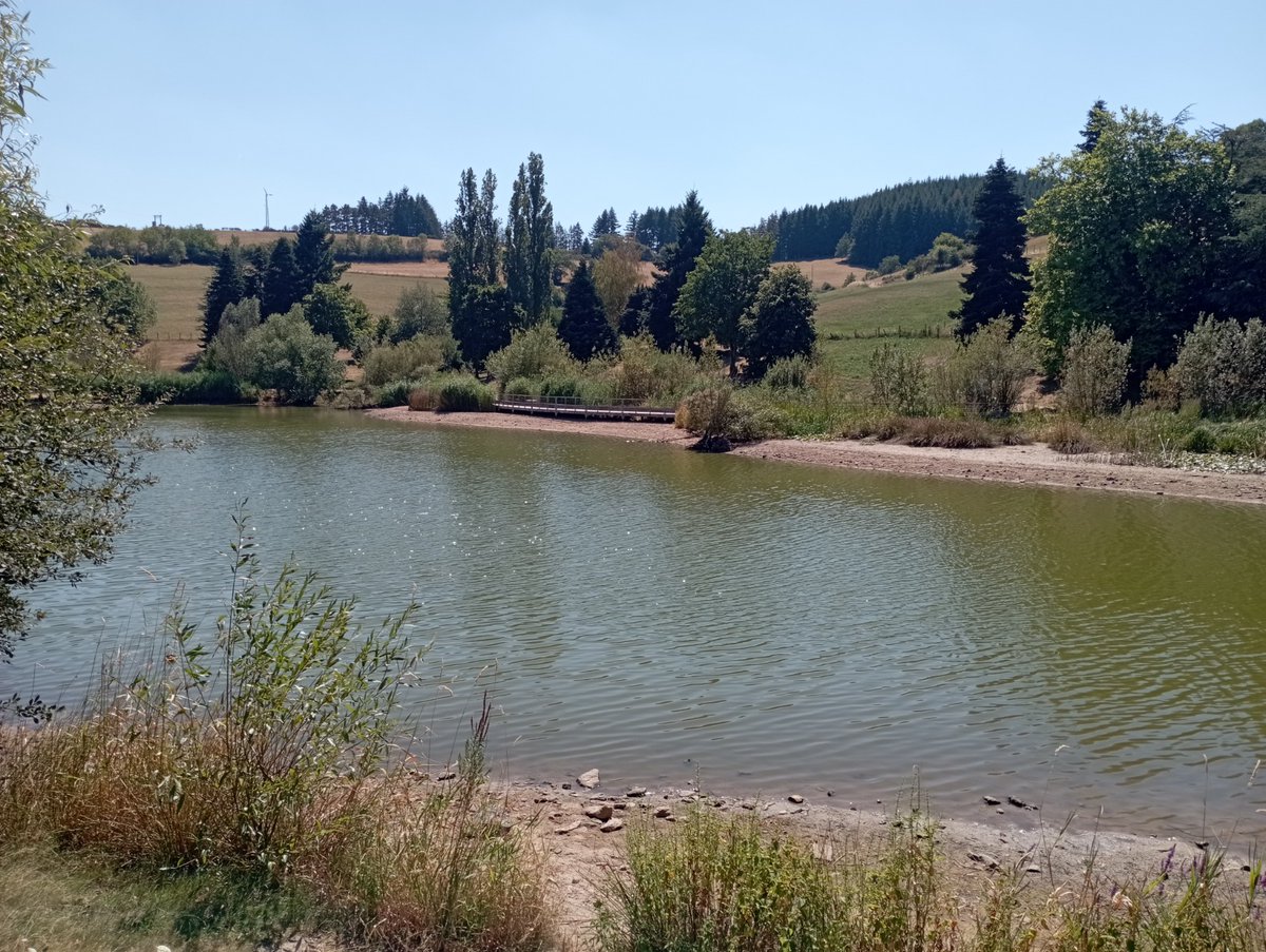riviereyzeron's tweet photo. 🆕 Visite du plan d'eau du Ronzey
BILAN:  niveau d'eau baissé d'environ 1m  en raison du débit d'étiage installé : un rejet à l'aval du plan d'eau (5L/s environ) permet de préserver l'Yzeron sur près de 10 km !
Merci à la commune d'Yzeron et à la #CCVL pour ce soutien d'étiage 💦 https://t.co/9eNMTmTIX7